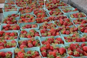 Delvin Farms Strawberries 1st Place Winner