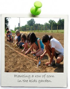 planting-in-a-row-corn-kids-garden