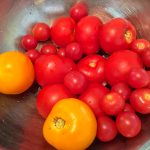 canning tomatoes 