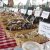 August 22nd Market Day Photos