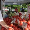 August 8th Market Day Photos