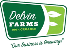 delvin-logo