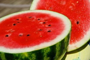Delvin Farms organically grown Crimson Sweet Watermelon