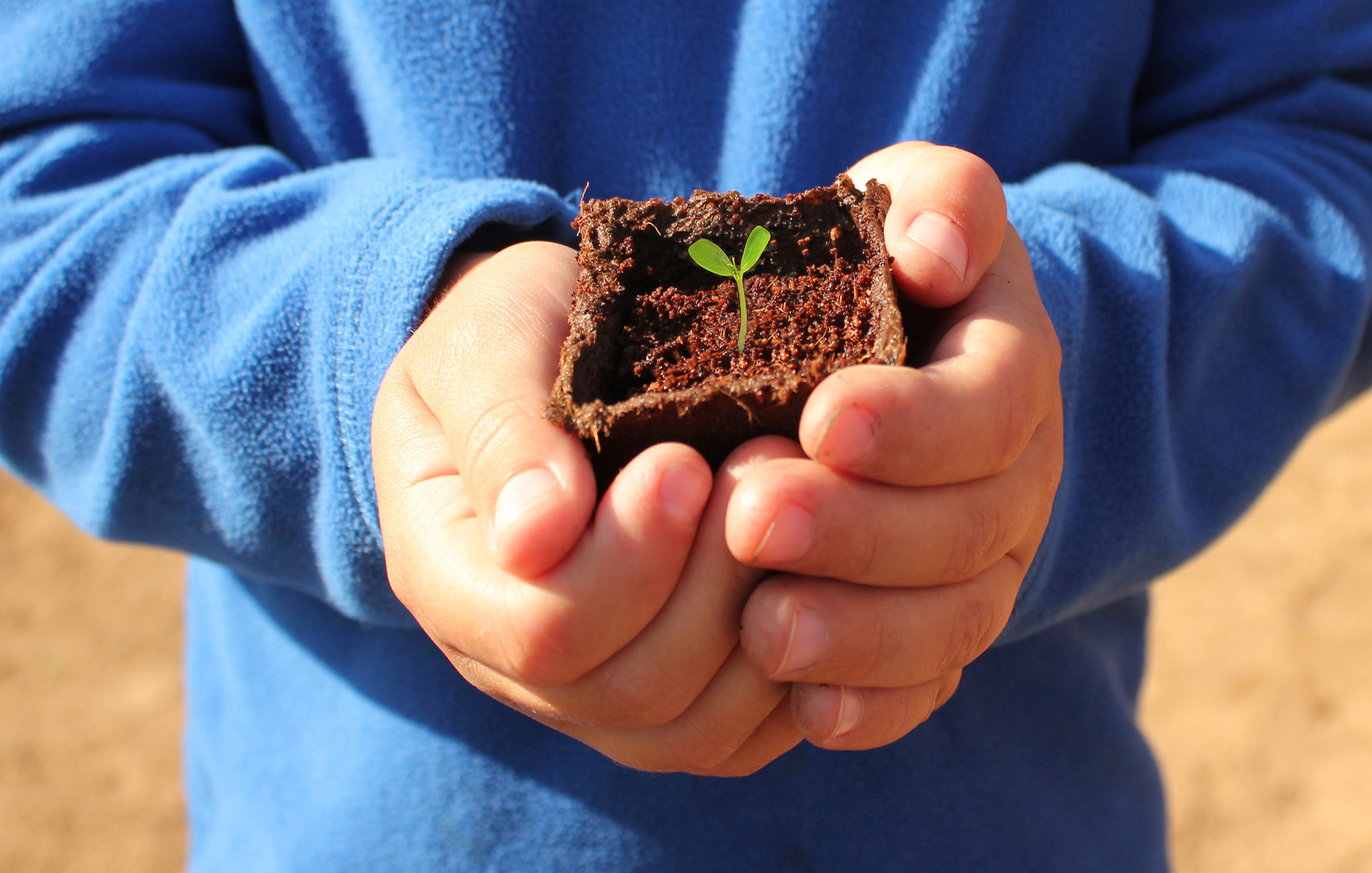 shop-whole-foods-market-5-day-for-children-s-garden-march-12th