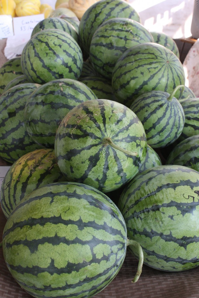 mad-about-melons-franklin-farmers-market