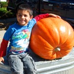 Giant Pumpkin Winner