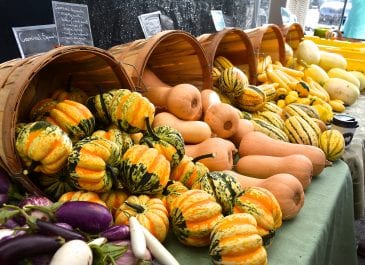 Sept 21st Market Day Photos