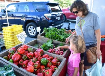 Sept 21st Market Day Photos