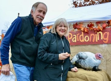 Pardoning of the Turkey